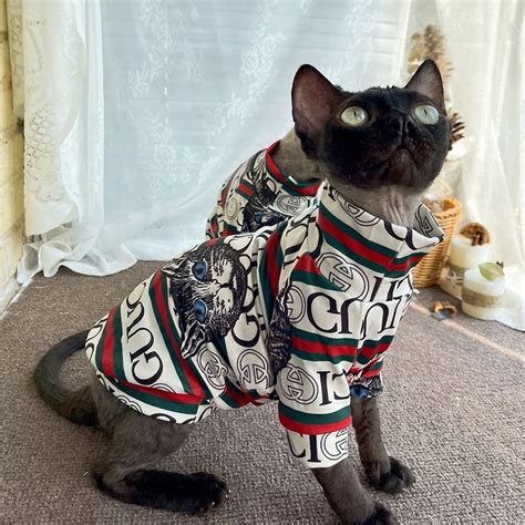 gucci for cats